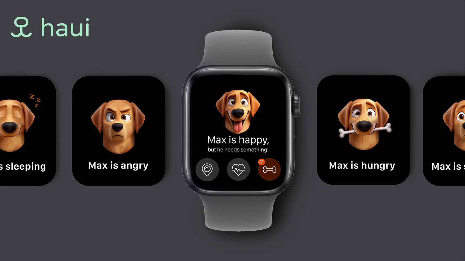 haui — app overview on smartwatch